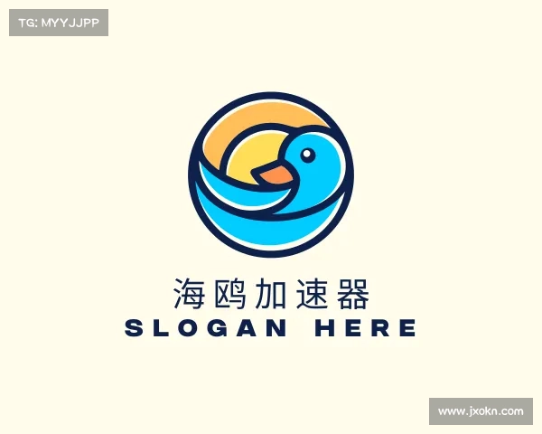 解读海鸥加速器